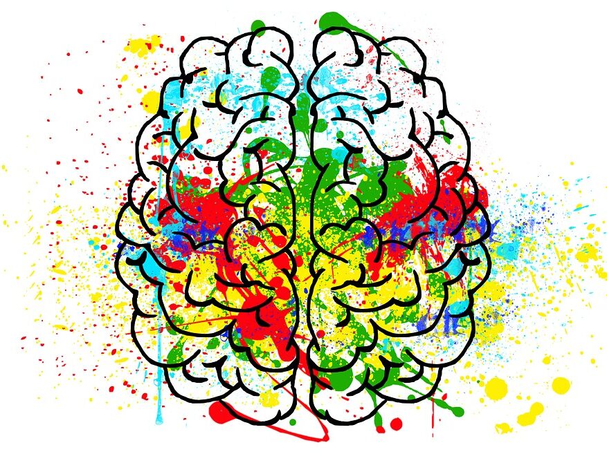 brain, mind, psychology-2062048.jpg